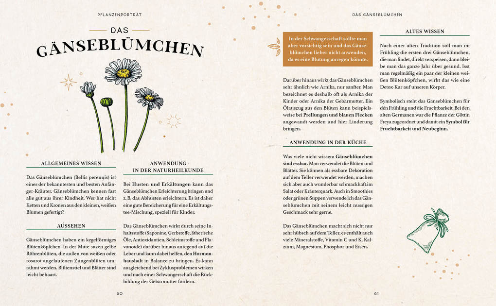 Weitere Ansicht: Zaubernuss und Waldmagie - Naturmomente für deine Seele | Sabine Strassmair