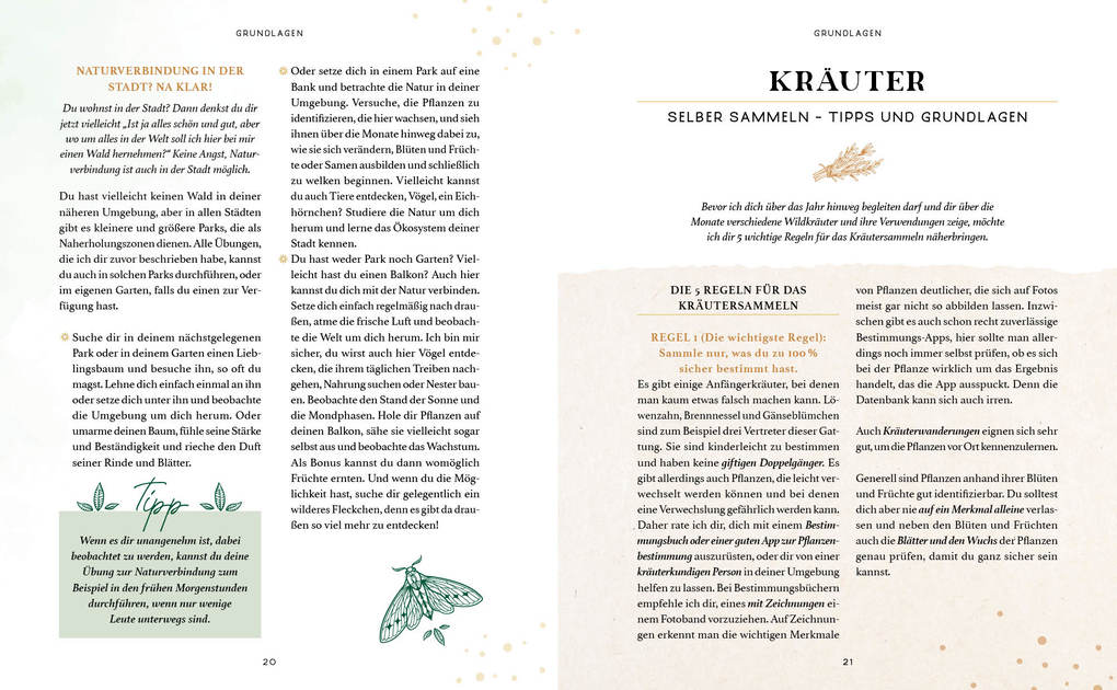 Weitere Ansicht: Zaubernuss und Waldmagie - Naturmomente für deine Seele | Sabine Strassmair