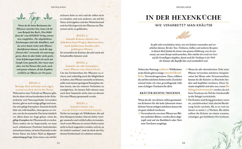Weitere Ansicht: Zaubernuss und Waldmagie - Naturmomente für deine Seele | Sabine Strassmair
