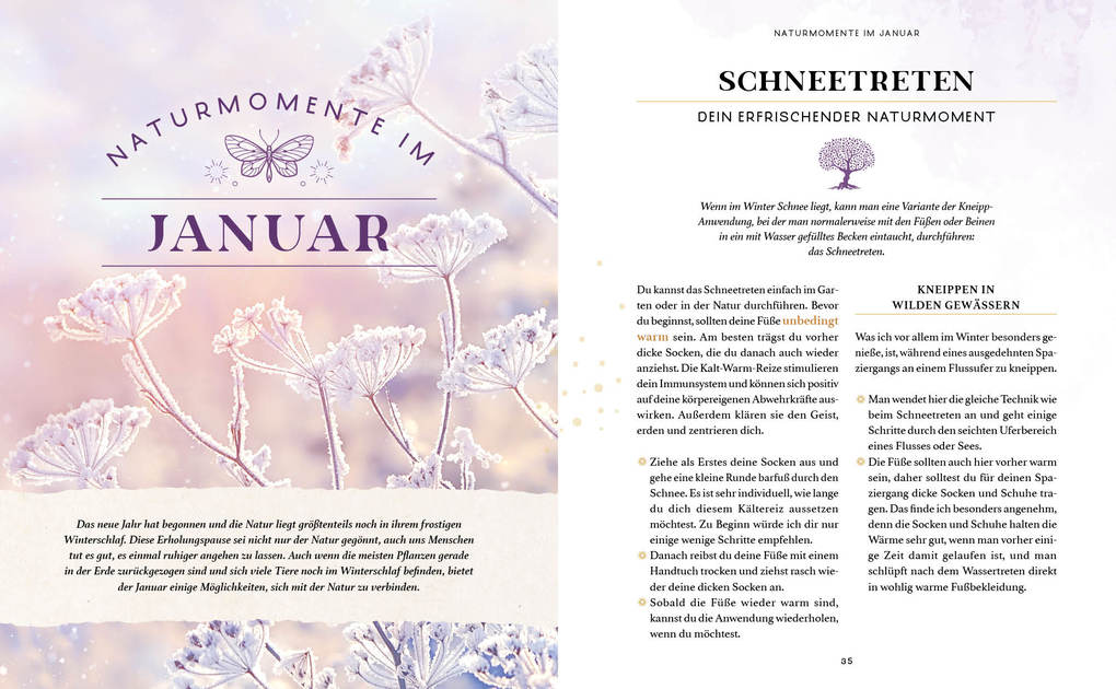 Weitere Ansicht: Zaubernuss und Waldmagie - Naturmomente für deine Seele | Sabine Strassmair