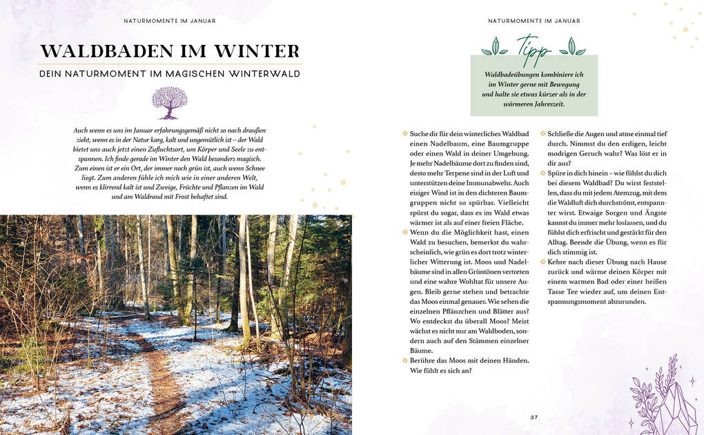 Weitere Ansicht: Zaubernuss und Waldmagie - Naturmomente für deine Seele | Sabine Strassmair