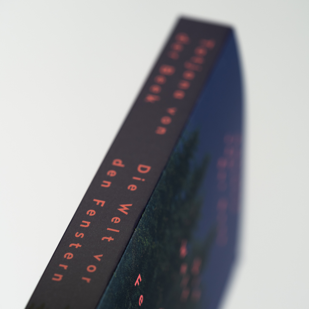 Weitere Ansicht: Die Welt vor den Fenstern | Tatjana von der Beek