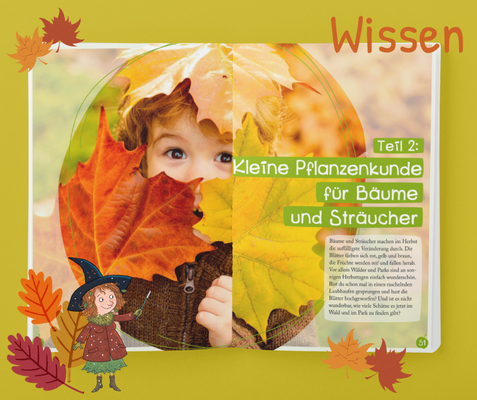 Weitere Ansicht: Basteln & Spielen mit Petronella Apfelmus - 99 zauberhafte Ideen für Herbst und Winter | Sabine Städing