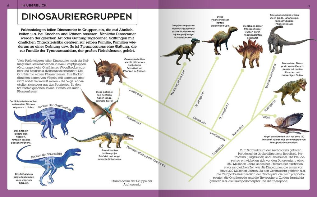 Weitere Ansicht: Das große Dinosaurierbuch | Claudia Martin