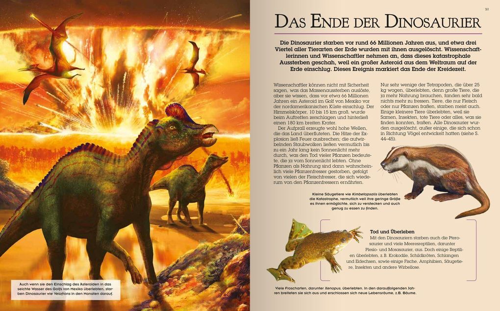 Weitere Ansicht: Das große Dinosaurierbuch | Claudia Martin