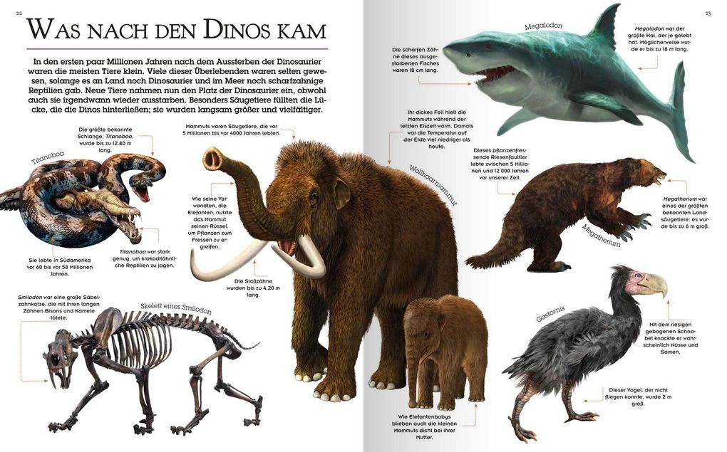 Weitere Ansicht: Das große Dinosaurierbuch | Claudia Martin