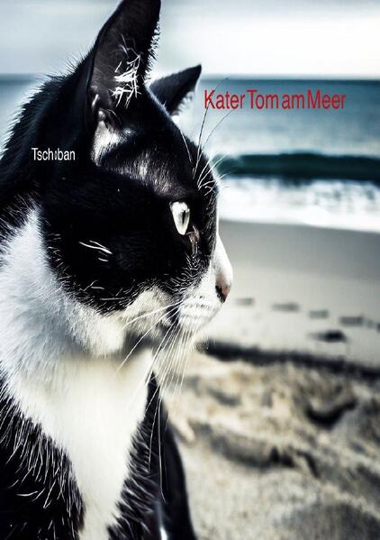 Produktbild: Kater Tom am Meer | Michi Tsch0ban