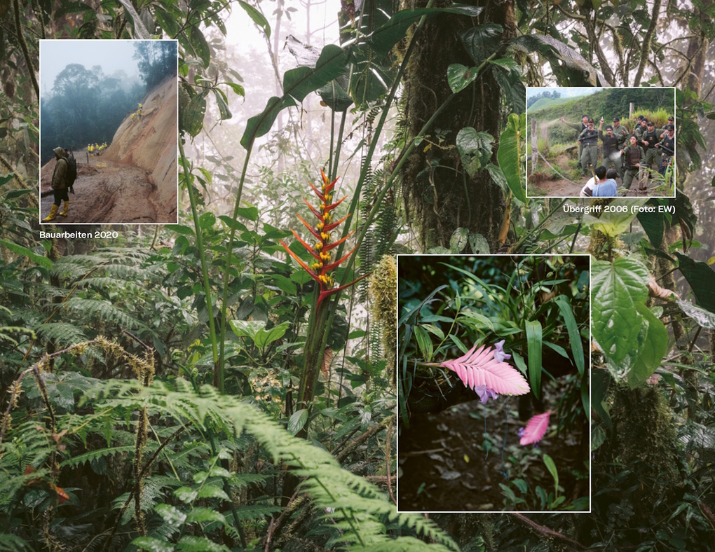 Weitere Ansicht: Die Natur hat Recht | Elisabeth Weydt