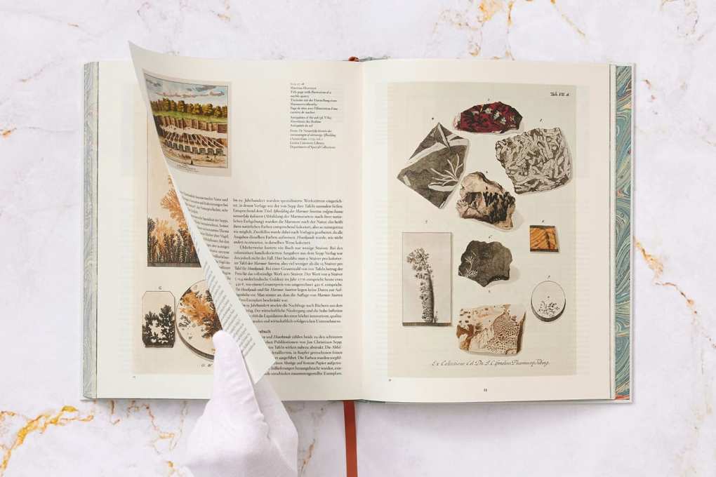 Weitere Ansicht: Jan Christiaan Sepp. The Book of Marble | Geert-Jan Koot