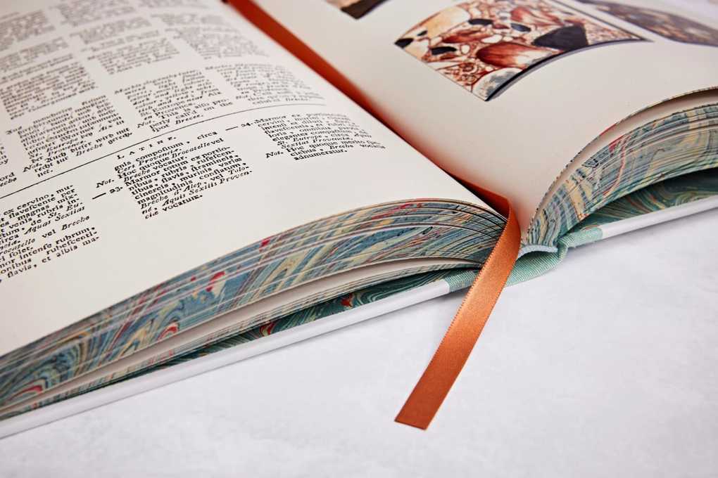 Weitere Ansicht: Jan Christiaan Sepp. The Book of Marble | Geert-Jan Koot