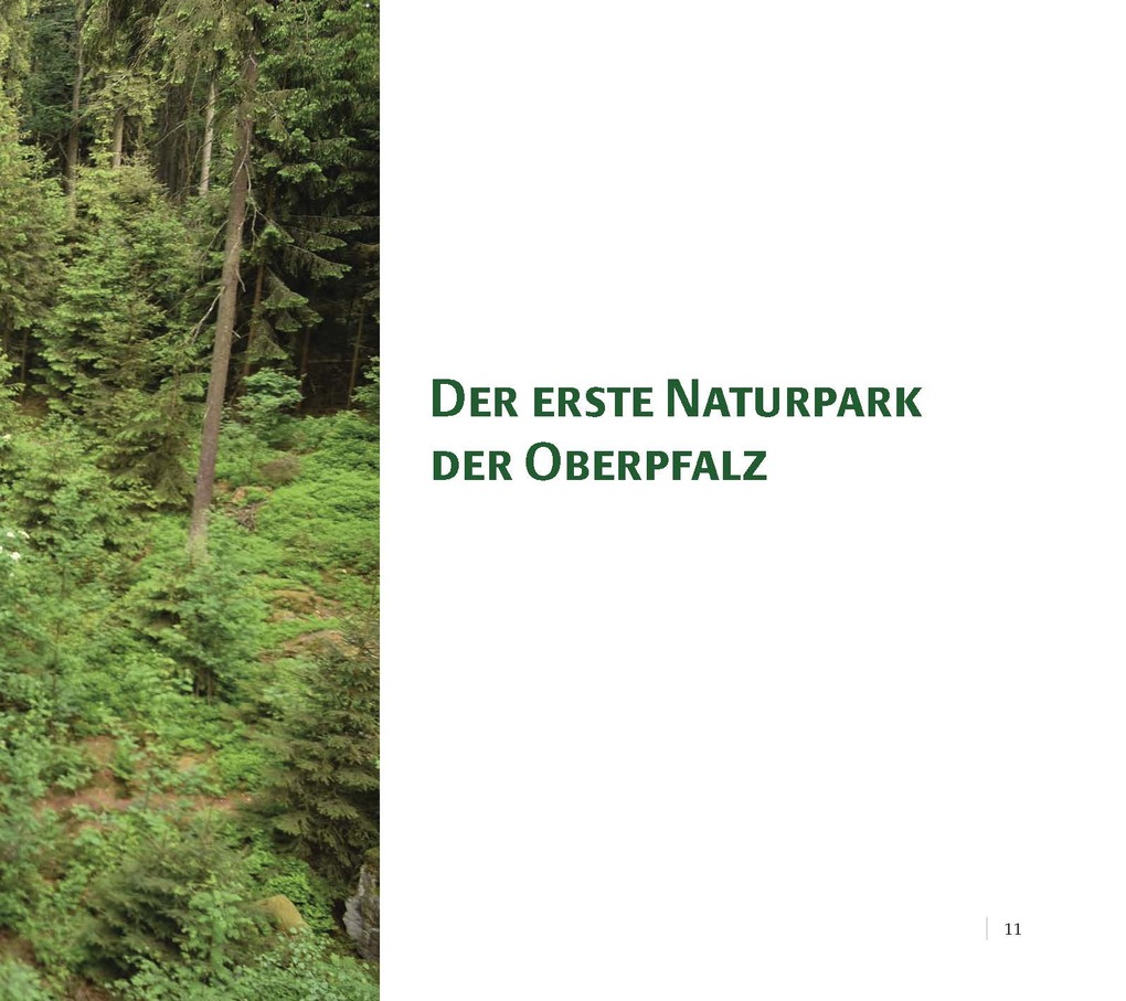 Weitere Ansicht: Steinreich - Naturpark Steinwald | Wolfgang Benkhardt