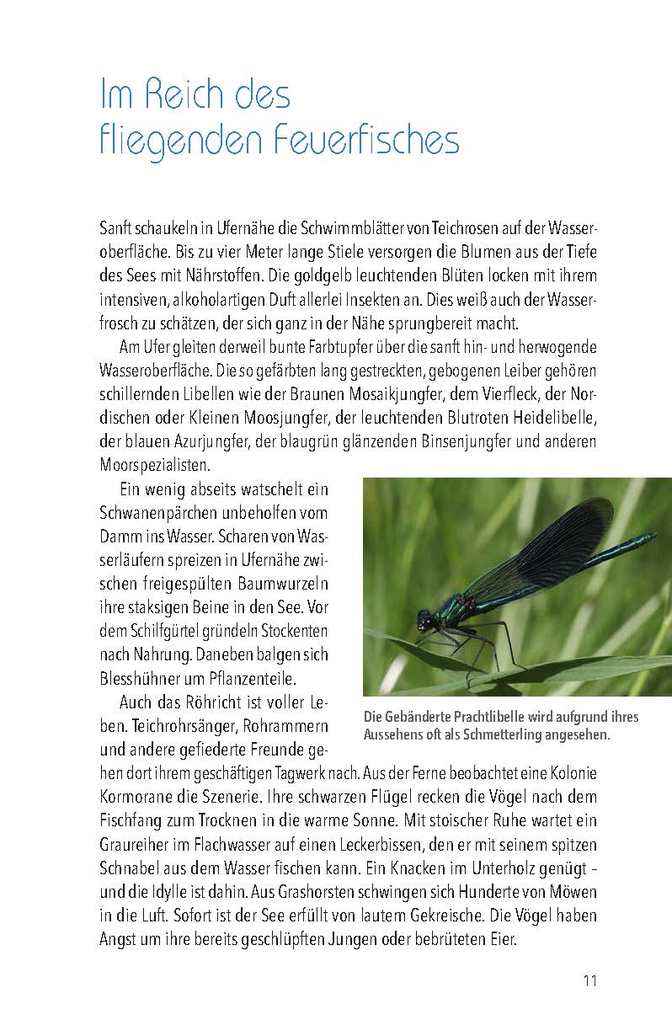 Weitere Ansicht: Nördlicher Oberpfälzer Wald | Wolfgang Benkhardt