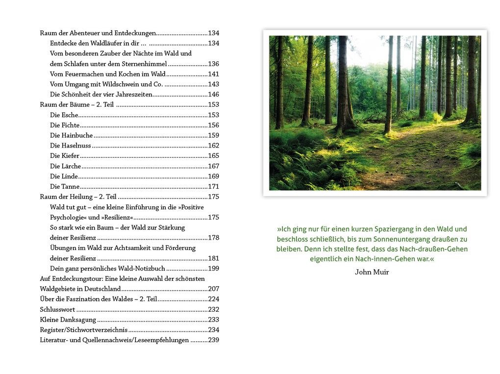 Weitere Ansicht: Wohlfühlort Wald | Peter Butenuth