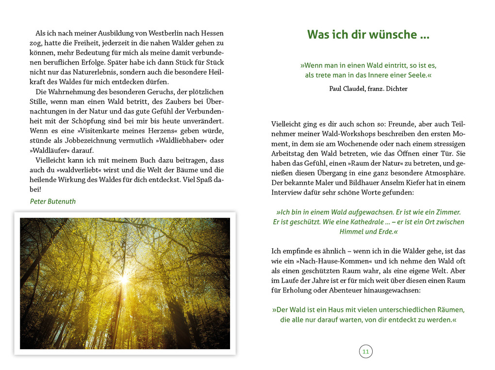 Weitere Ansicht: Wohlfühlort Wald | Peter Butenuth