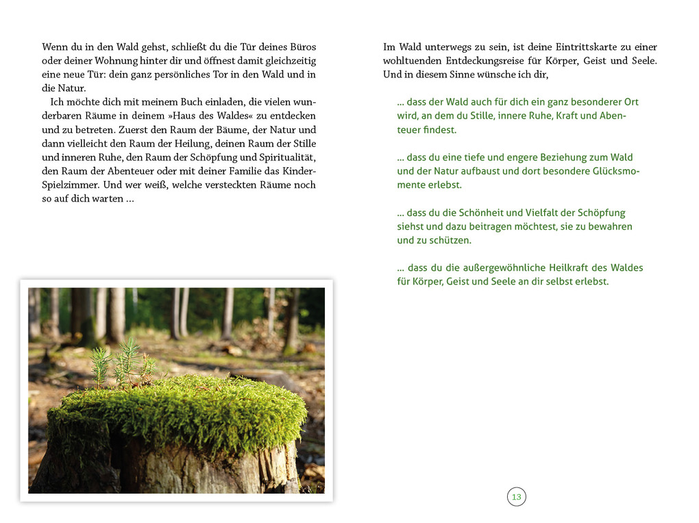 Weitere Ansicht: Wohlfühlort Wald | Peter Butenuth