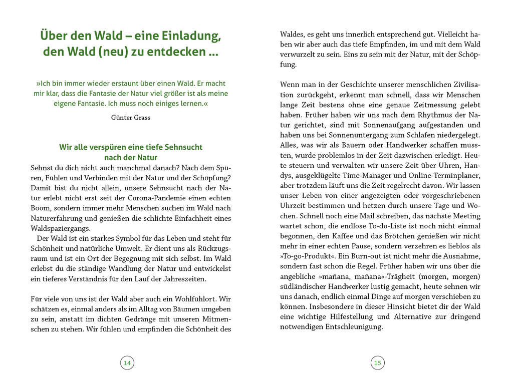 Weitere Ansicht: Wohlfühlort Wald | Peter Butenuth