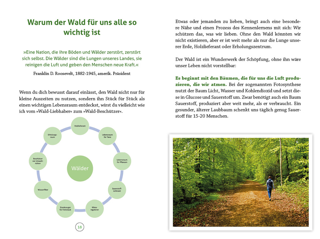 Weitere Ansicht: Wohlfühlort Wald | Peter Butenuth