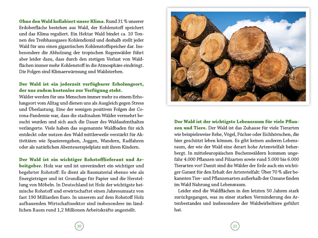 Weitere Ansicht: Wohlfühlort Wald | Peter Butenuth