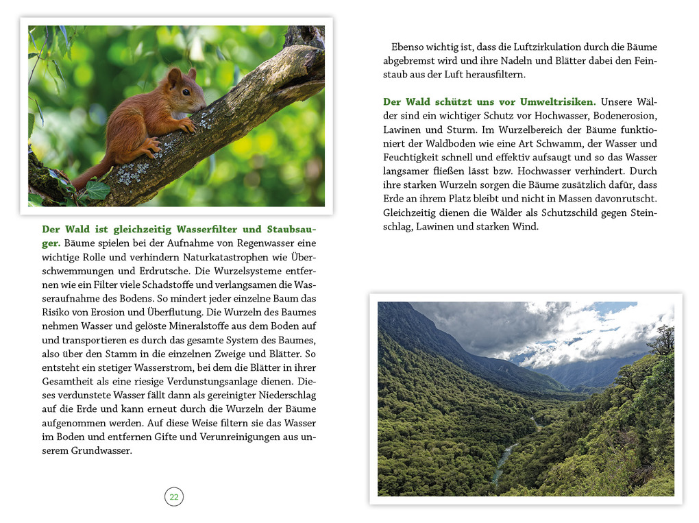 Weitere Ansicht: Wohlfühlort Wald | Peter Butenuth