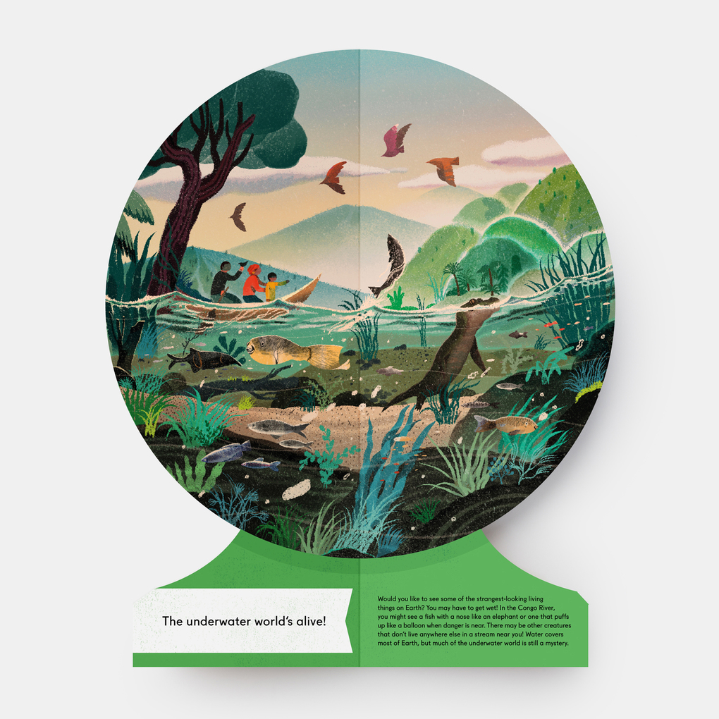 Weitere Ansicht: Our Underwater World | Sue Lowell Gallion, Lisk Feng