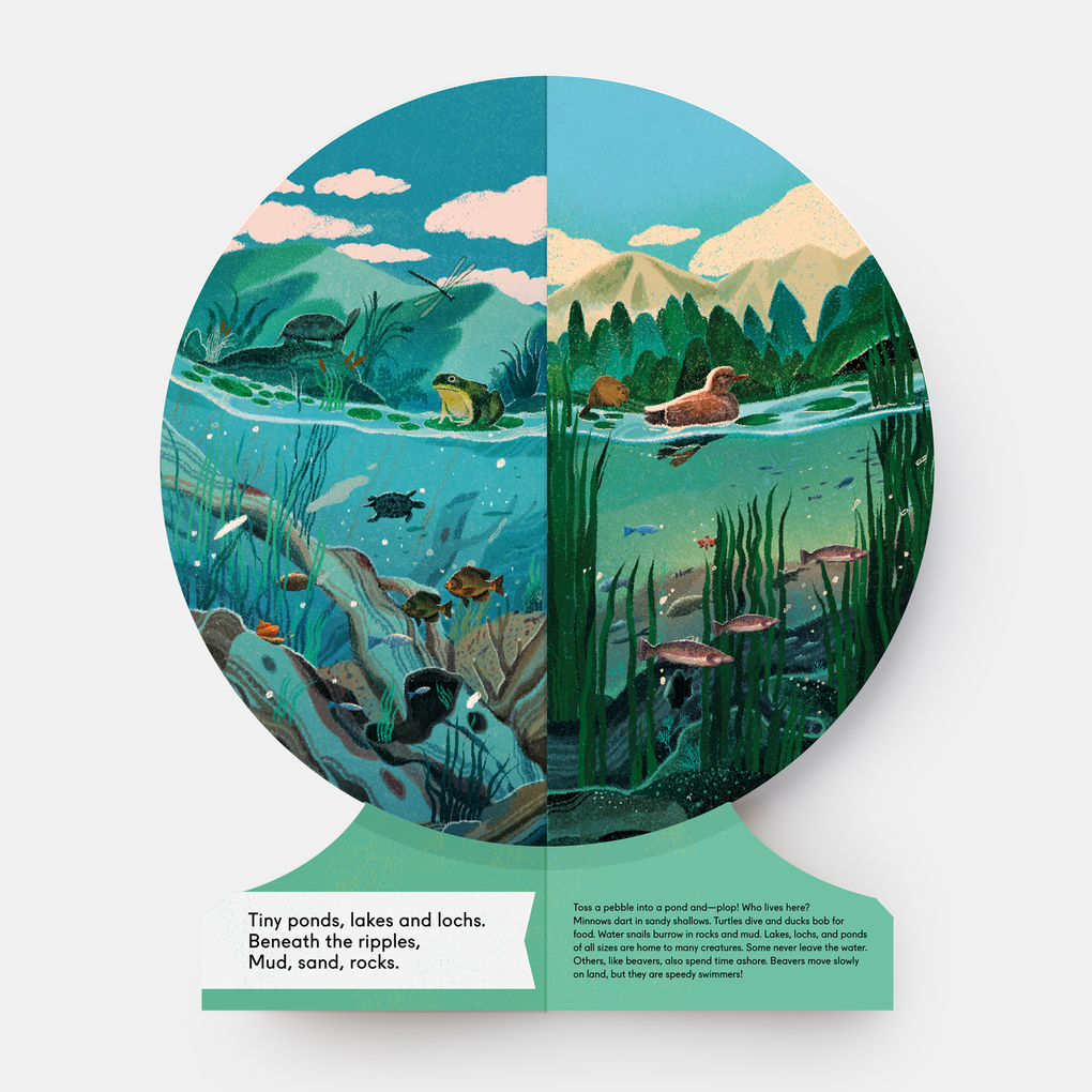 Weitere Ansicht: Our Underwater World | Sue Lowell Gallion, Lisk Feng