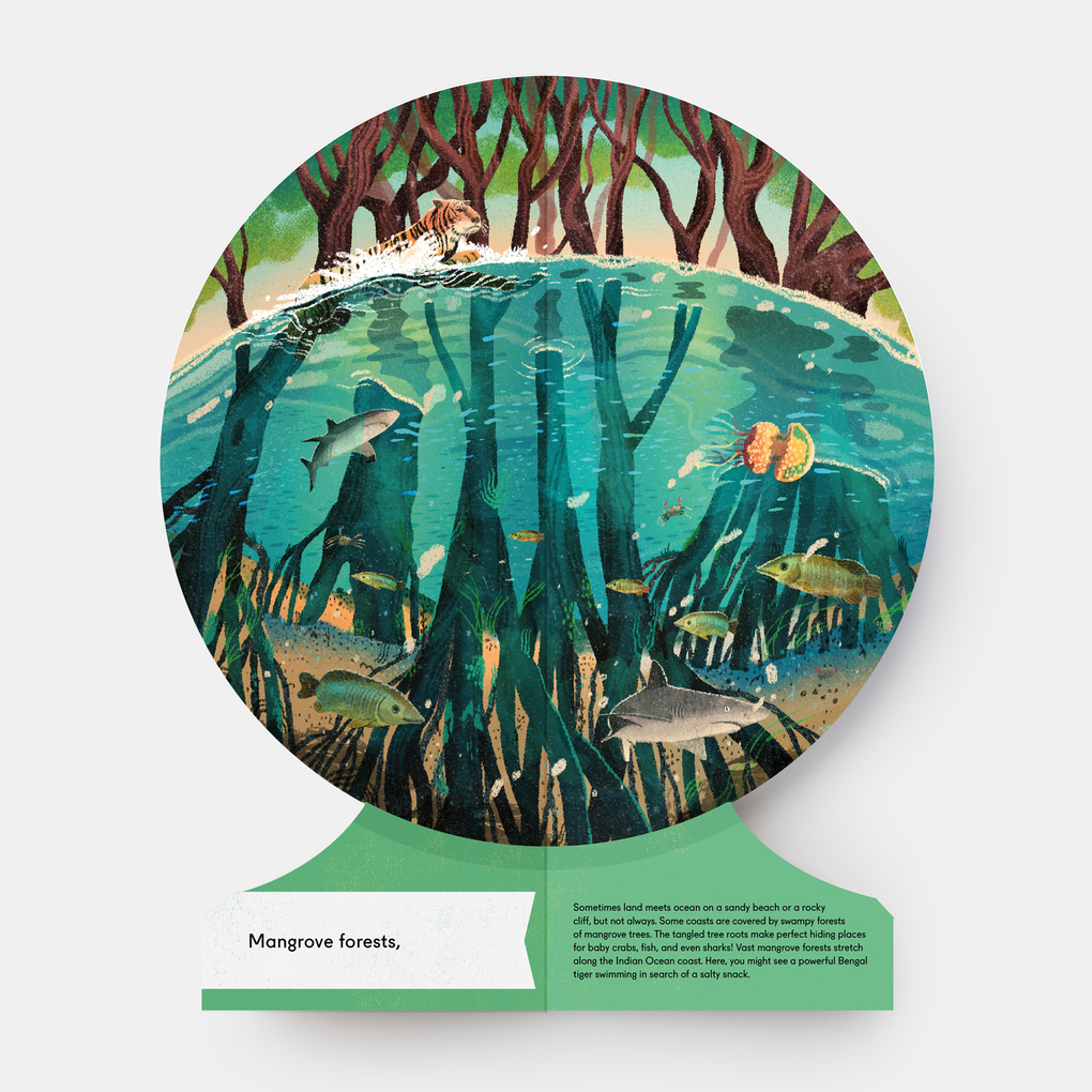 Weitere Ansicht: Our Underwater World | Sue Lowell Gallion, Lisk Feng