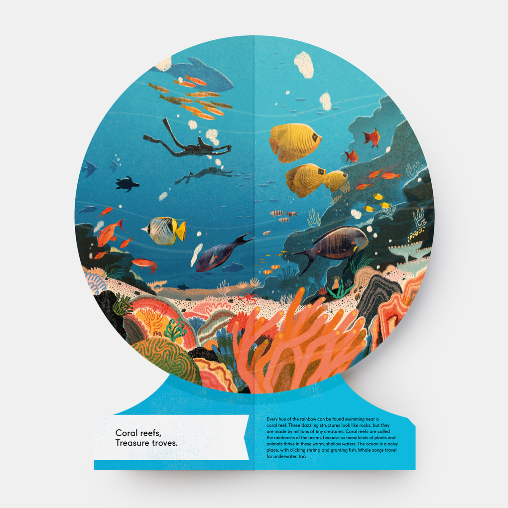 Weitere Ansicht: Our Underwater World | Sue Lowell Gallion, Lisk Feng