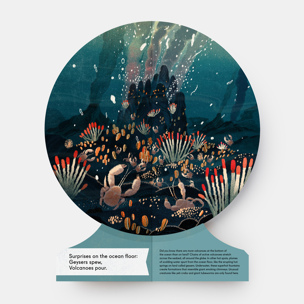 Weitere Ansicht: Our Underwater World | Sue Lowell Gallion, Lisk Feng