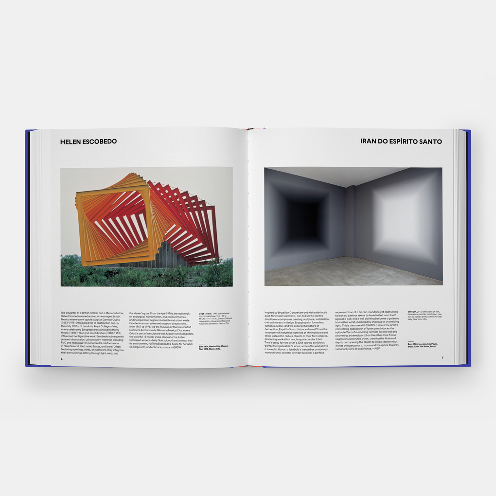 Weitere Ansicht: Latin American Artists | Raphael Fonseca, Phaidon Editors