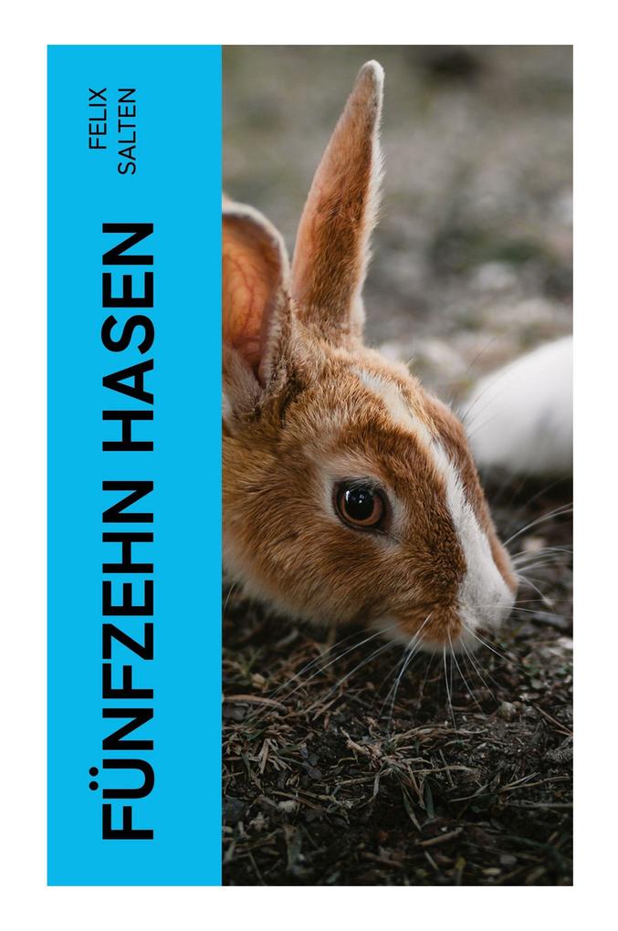Produktbild: Fünfzehn Hasen | Felix Salten