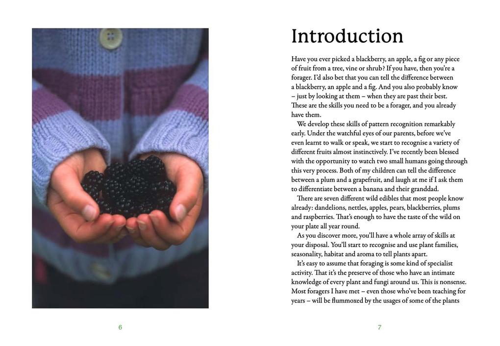 Weitere Ansicht: The First-Time Forager | Andy Hamilton