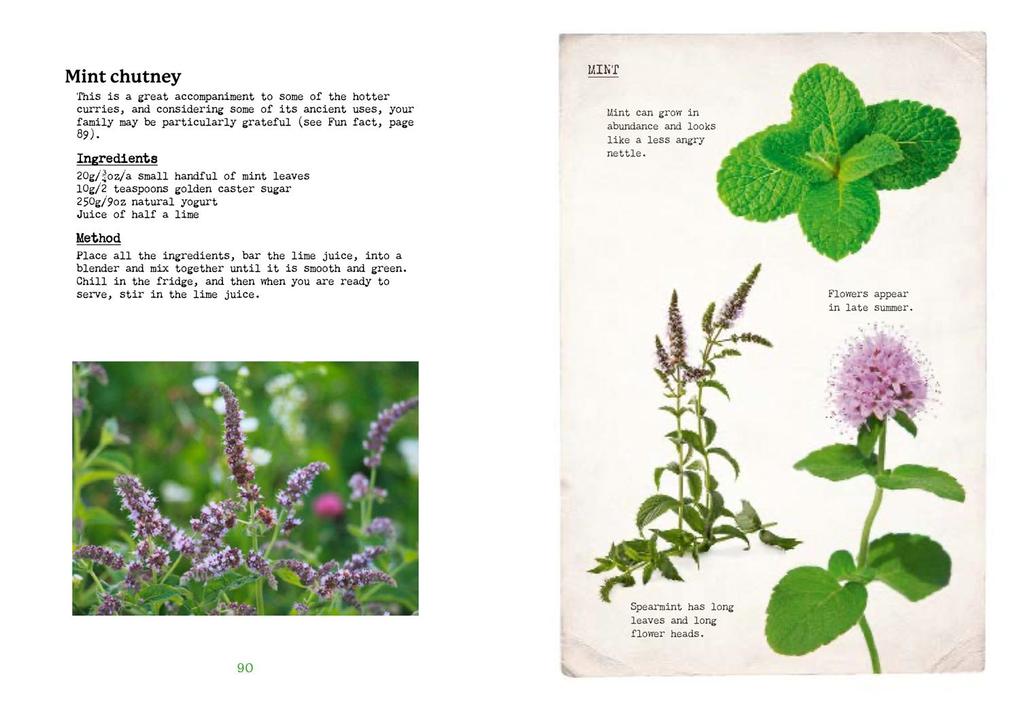 Weitere Ansicht: The First-Time Forager | Andy Hamilton