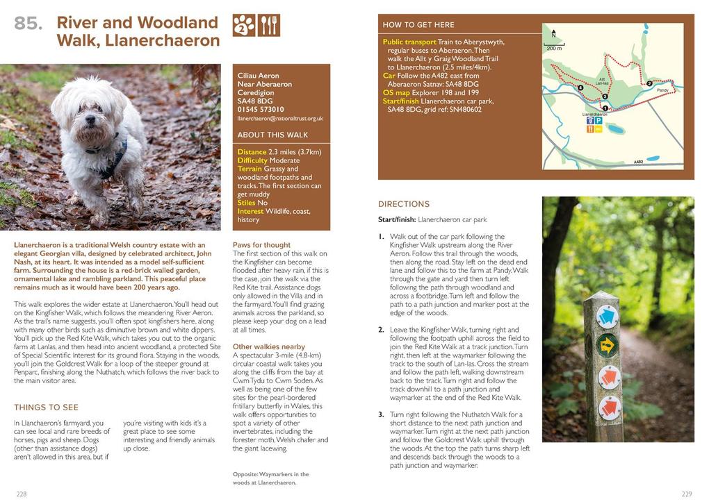 Weitere Ansicht: Great British Walkies | Sim Benson, Jen Benson