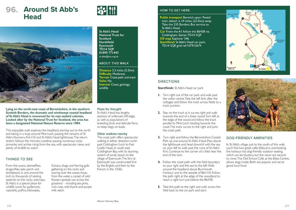 Weitere Ansicht: Great British Walkies | Sim Benson, Jen Benson