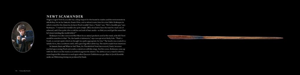 Weitere Ansicht: Harry Potter and Fantastic Beasts: The Wands of the Wizarding World | Monique Peterson, Jody Revenson