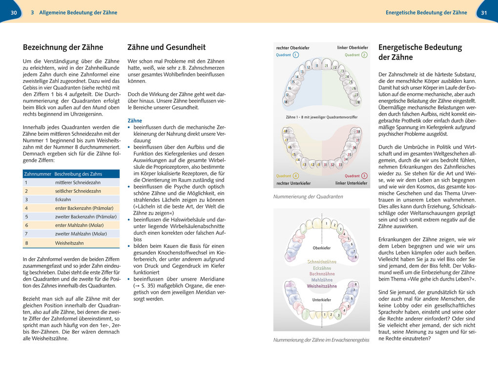 Weitere Ansicht: Zähne und Spagyrik | Roland Lackner