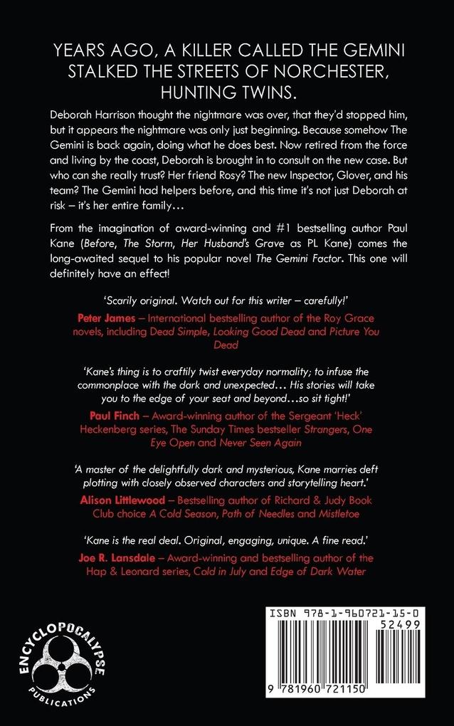 Weitere Ansicht: The Gemini Effect | Paul Kane