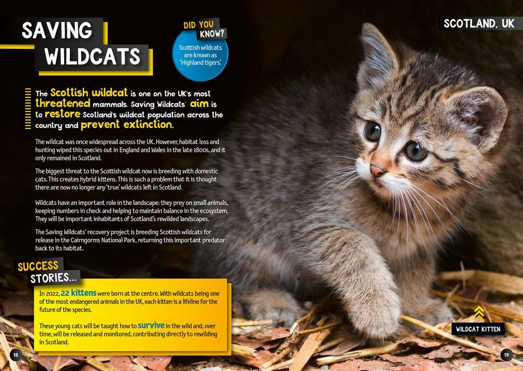 Weitere Ansicht: Wilder Planet | National Geographic Kids