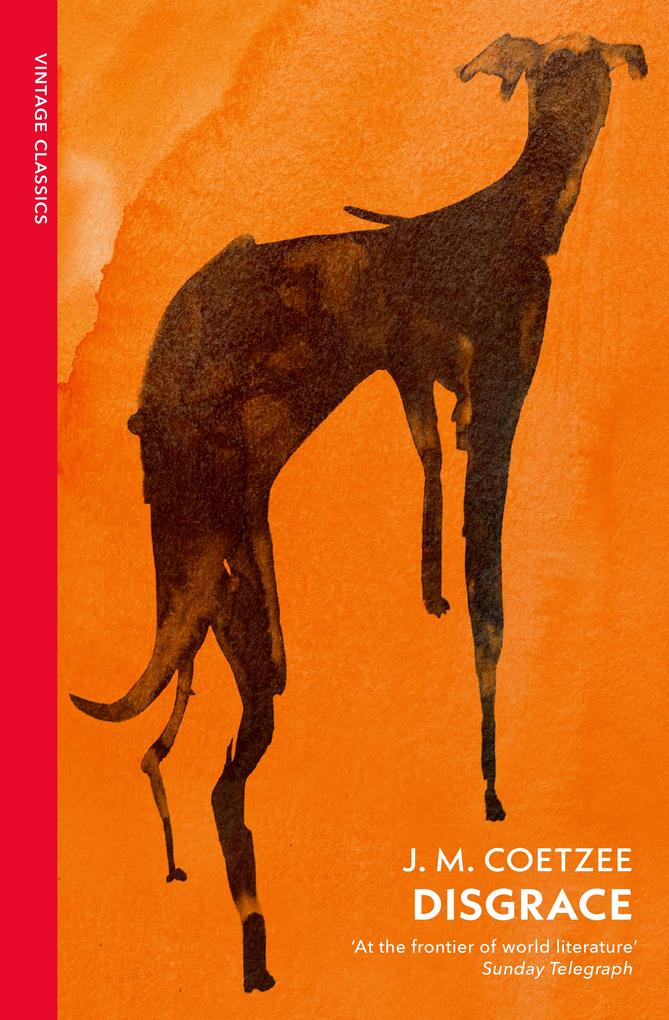 Produktbild: Disgrace | J. M. Coetzee