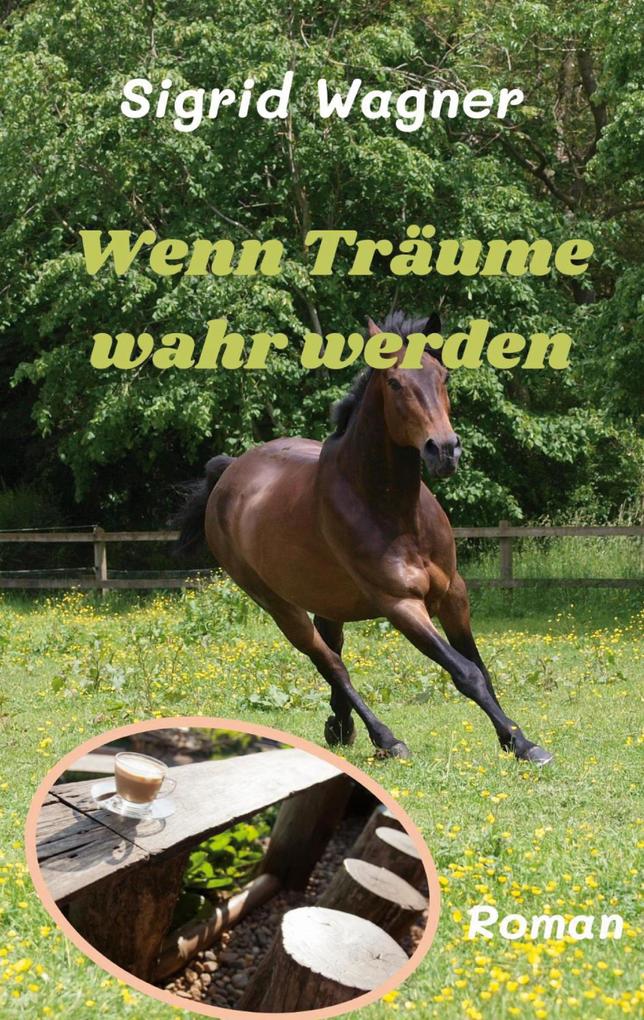 Produktbild: Wenn Träume wahr werden | Sigrid Wagner