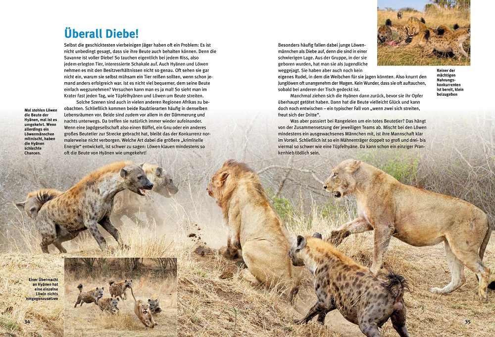 Weitere Ansicht: Entdecke die Hyänen | Kerstin Viering, Oliver Höner