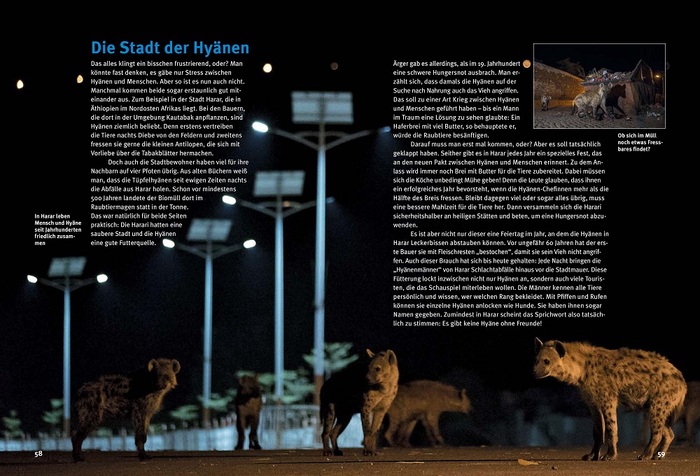 Weitere Ansicht: Entdecke die Hyänen | Kerstin Viering, Oliver Höner