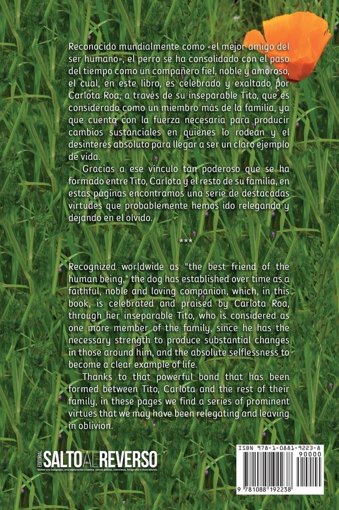 Weitere Ansicht: Las virtudes de Tito | Carlota Roa