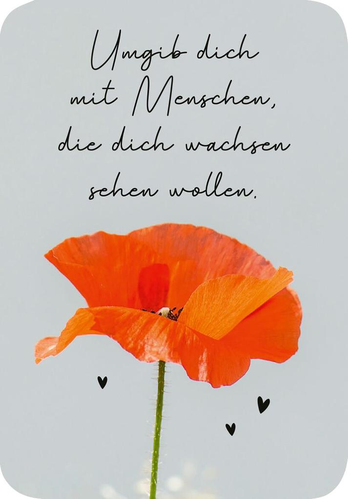 Weitere Ansicht: Mini-Coach. Hello, neuer Mut!