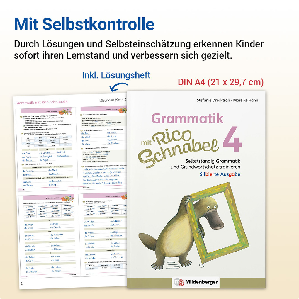 Weitere Ansicht: Grammatik mit Rico Schnabel, Klasse 4 - silbierte Ausgabe | Stefanie Drecktrah, Mareike Hahn