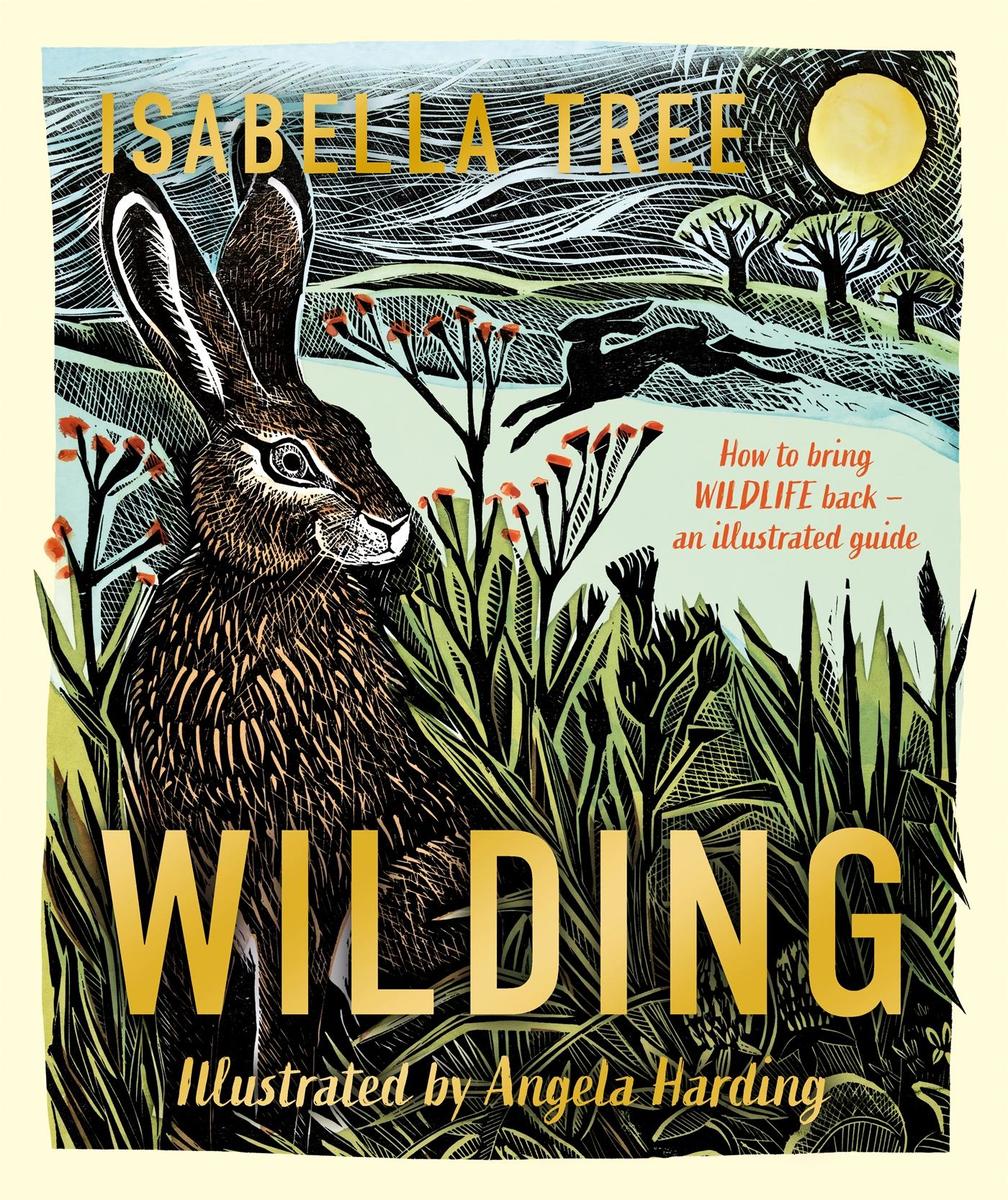 Produktbild: Wilding: How to Bring Wildlife Back - an Illustrated Guide | Isabella Tree