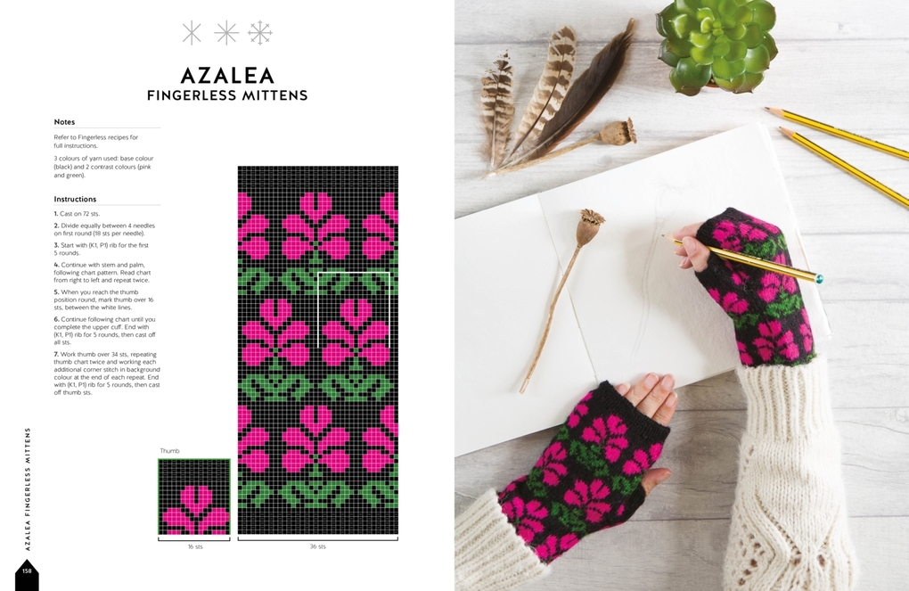 Weitere Ansicht: The Big Book of Latvian Mittens | Ieva Ozolina