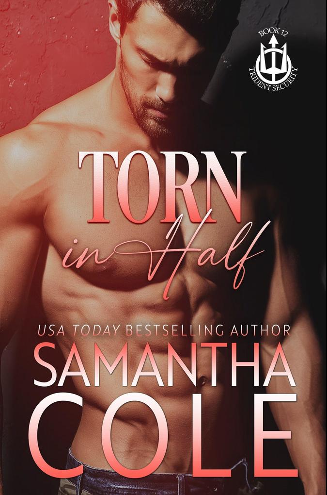 Produktbild: Torn in Half | Samantha Cole