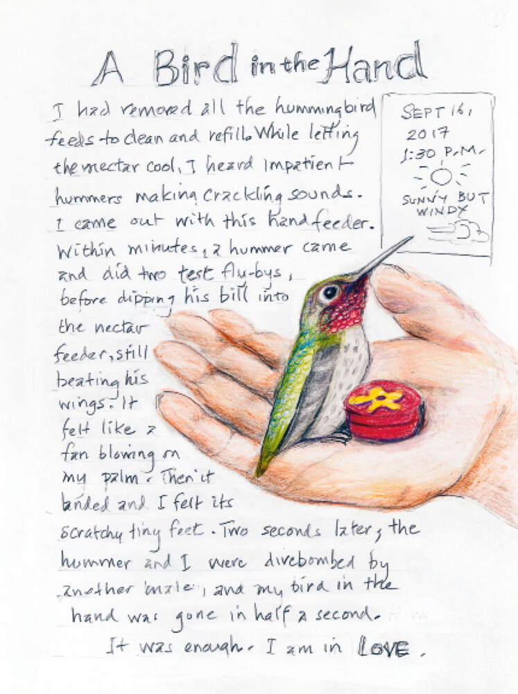 Weitere Ansicht: The Backyard Bird Chronicles | Amy Tan