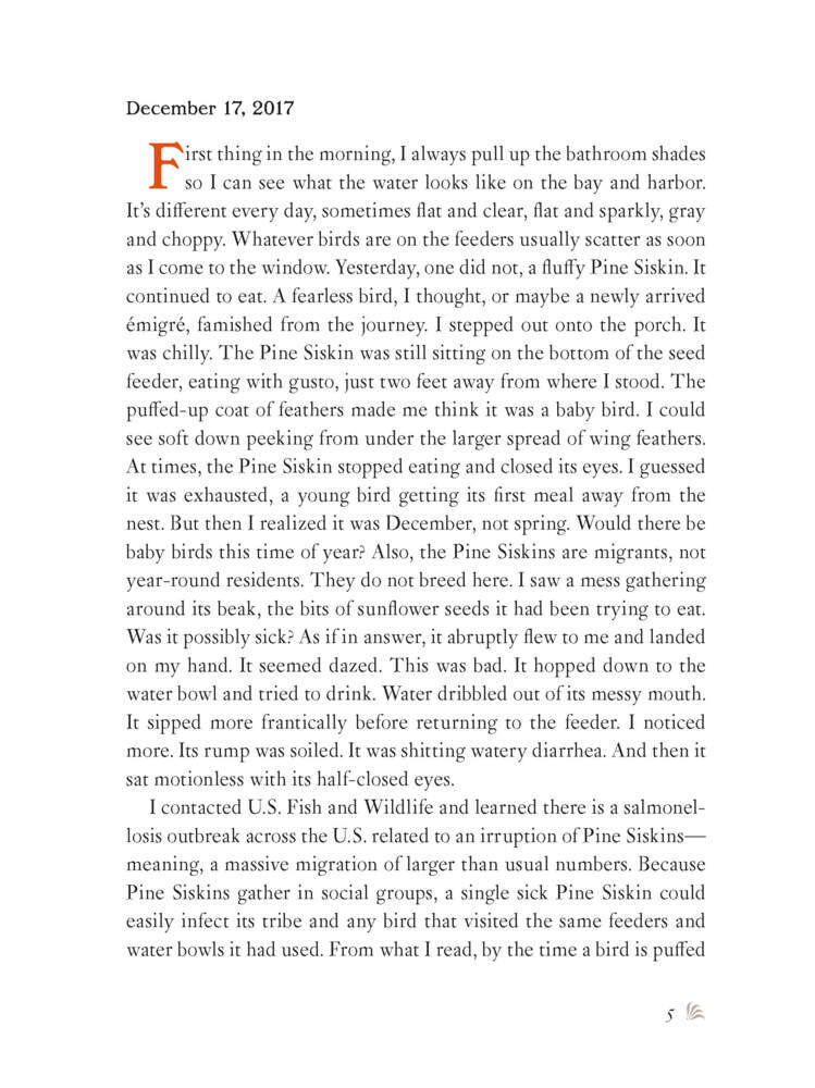 Weitere Ansicht: The Backyard Bird Chronicles | Amy Tan